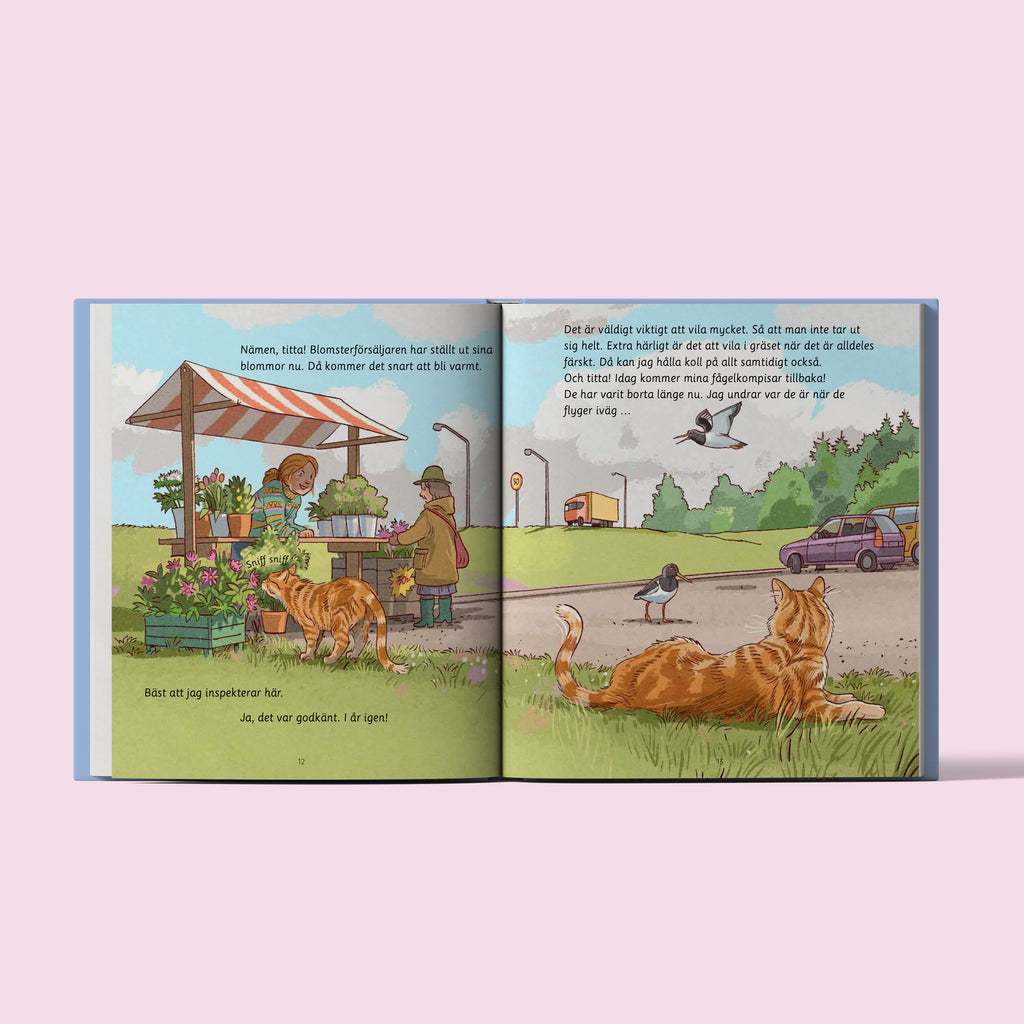 Året runt med Luffar-Lasse