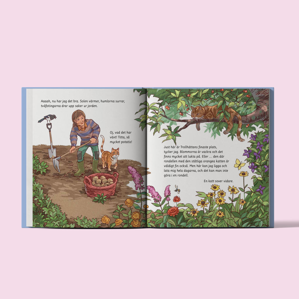 Året runt med Luffar-Lasse