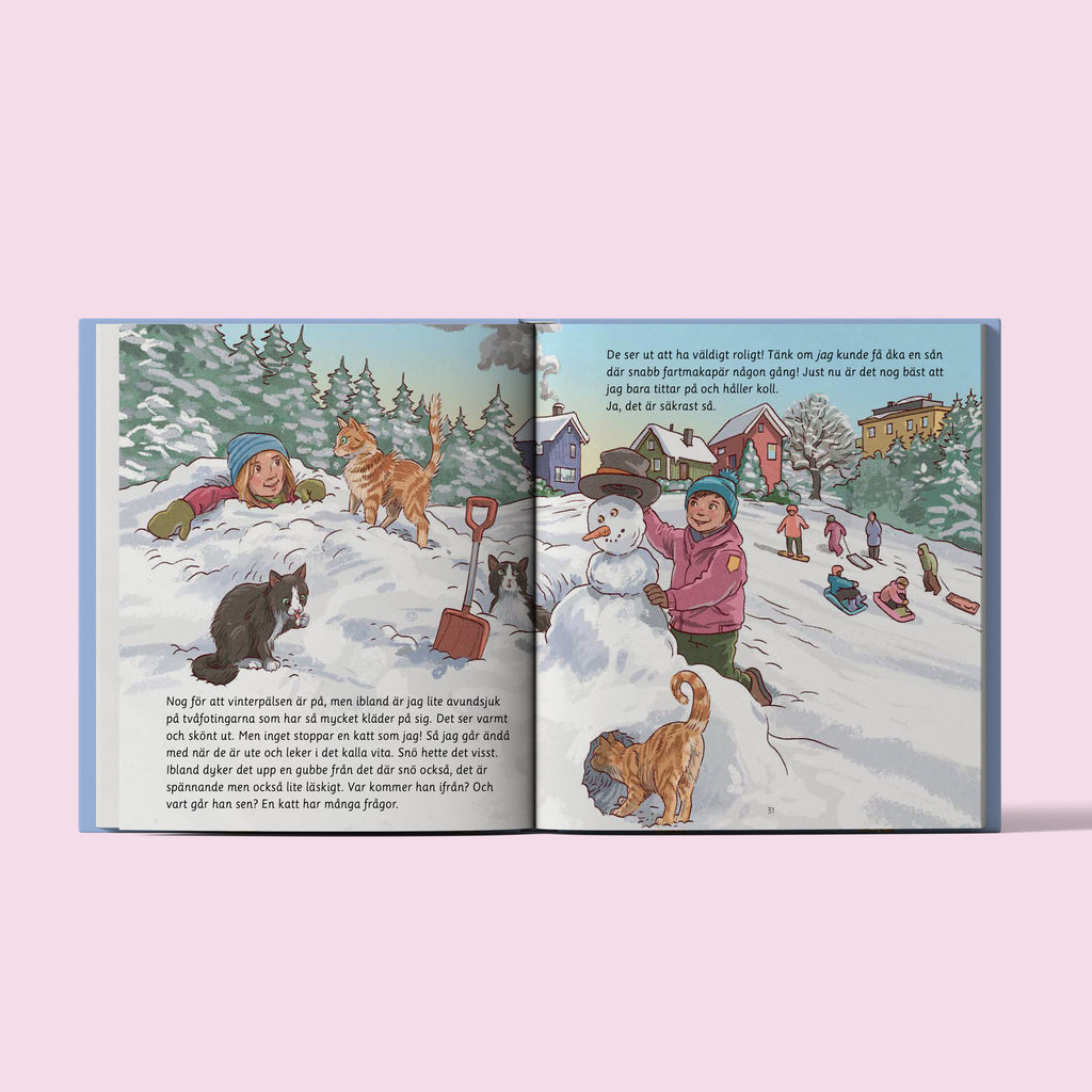 Året runt med Luffar-Lasse