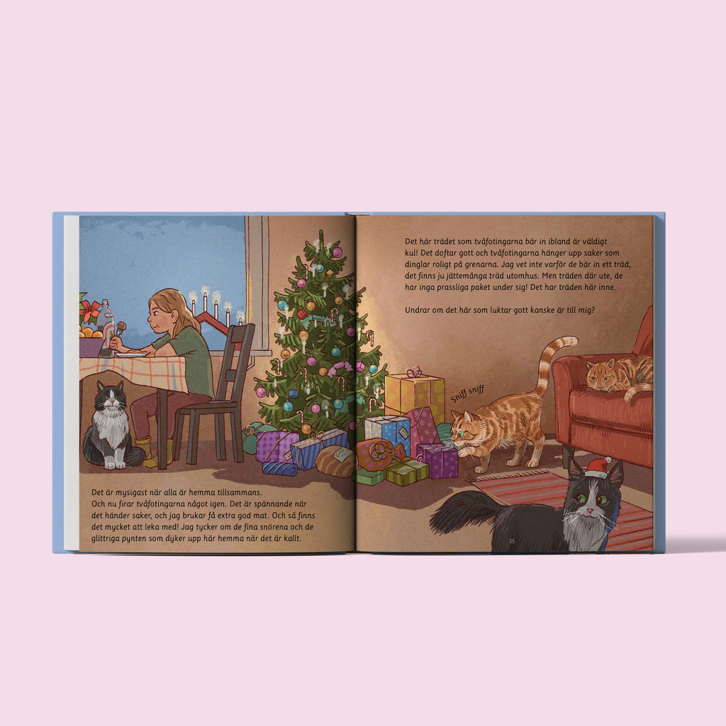 Året runt med Luffar-Lasse