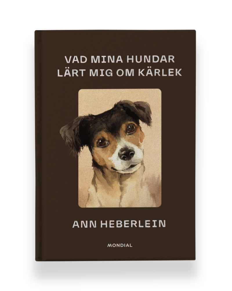 Vad mina hundar lärt mig om kärlek