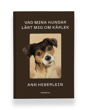 Vad mina hundar lärt mig om kärlek