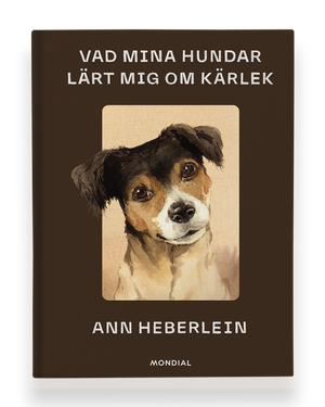 Vad mina hundar lärt mig om kärlek