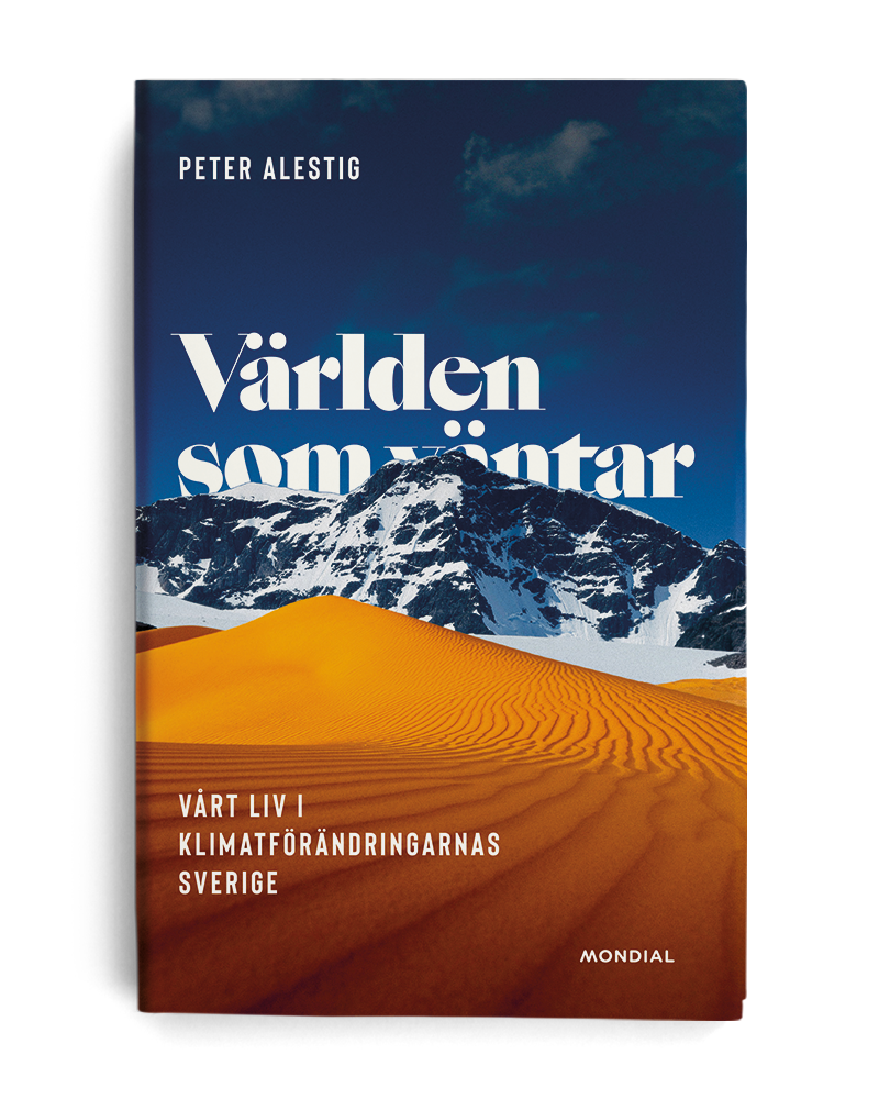 Världen som väntar